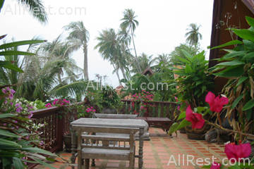 Coconut River 35